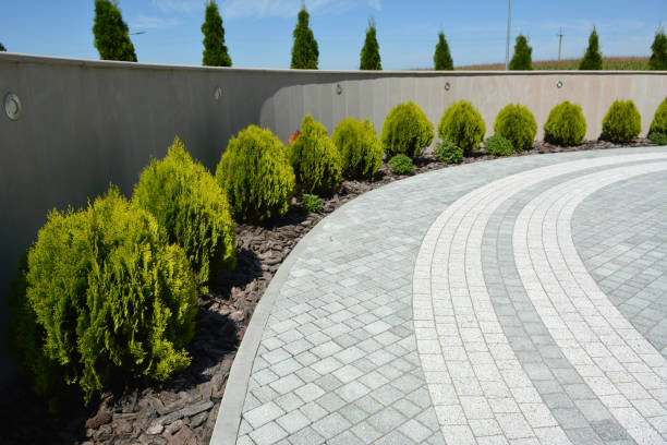 Best Decorative Driveway Pavers  in South Lake Tahoe, CA